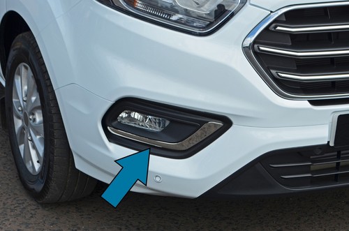 Chrome fog light - chrome, lamp