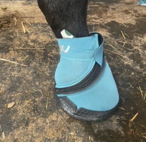 Woofware medical hoof boot - medical,