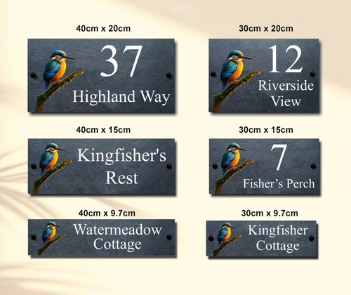 Kingfisher wildlife - kingfisher,