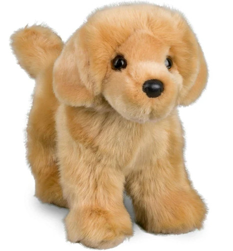 Douglas dogs chap golden - douglas,