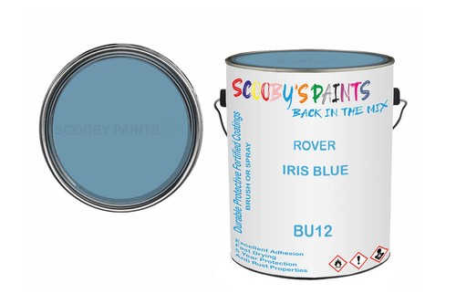 Classic paint for morris minor - paint,