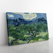 The Olive Trees By Vincent Van
