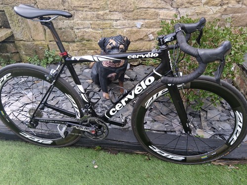 Cervelo carbon road bike - carbon,
