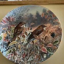 SONG THRUSHES COALPORT BIRD COLLECTORS PLATE FROM THE SERIES FROSTY MORNINGS