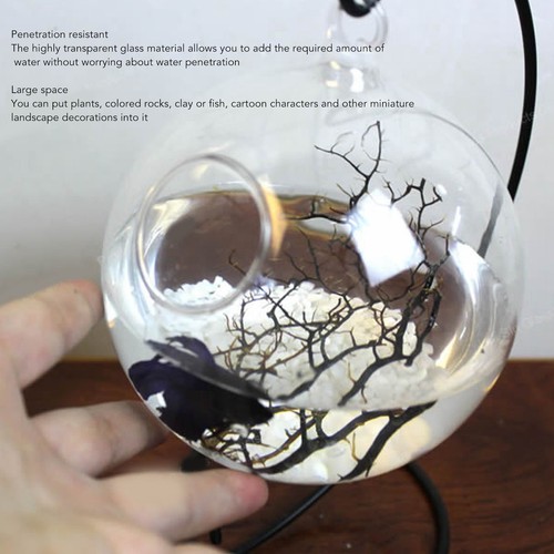 Hanging glass fish tank - fish,