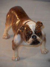Rare Royal Doulton Porcelain Large Bulldog HN1046 Brown & White 4 3/4" 12cm High
