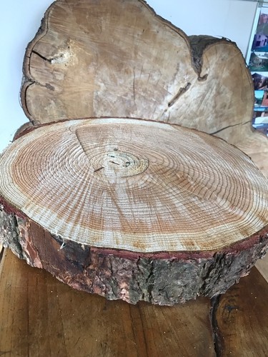 Rustic log slice - 16",