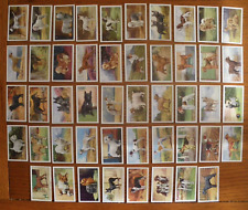 Set GALLAHER DOGS 1936