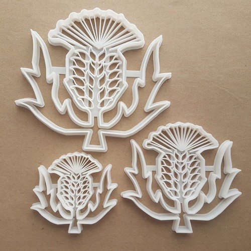 Thistle flower plant shape - flower,