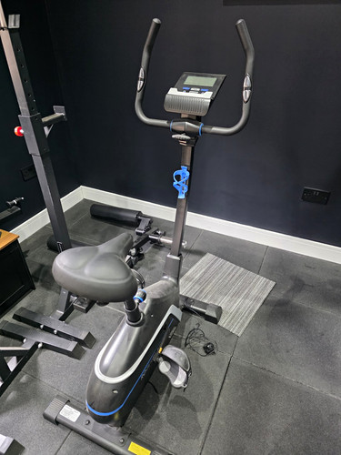 Roger black gold bike upright - black,