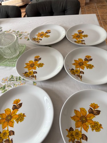 Six vintage retro - vintage, dinner