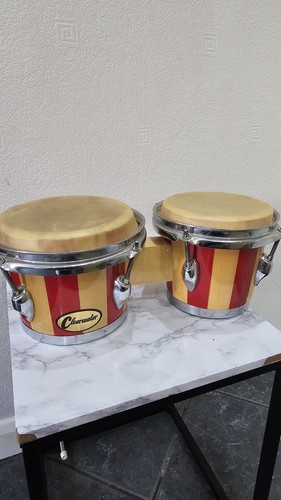 Clearwater bongo drums musical - bongo,