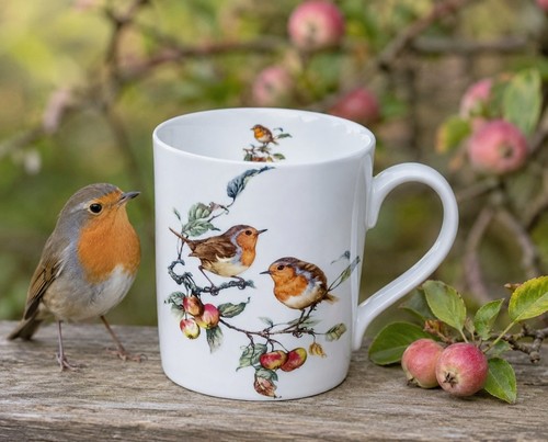 Robin birds scene - robin,