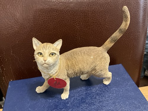 Country artists tabby cat - tabby,