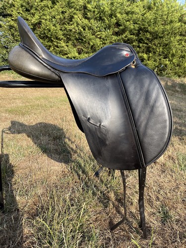 Albion slk dressage - albion,