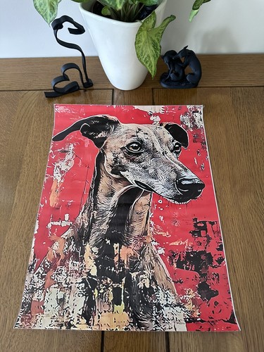 Brindle whippet greyhound - brindle,