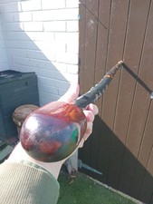 IRISH BLACKTHORN STICK 40