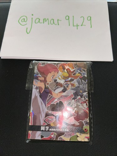 Pokémon non tcg - pokémon,