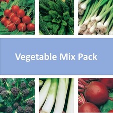 30x Organic Vegetable Plug