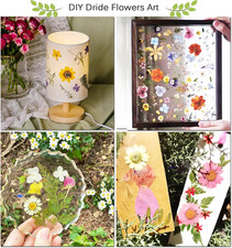 Large Flower Press Kit for