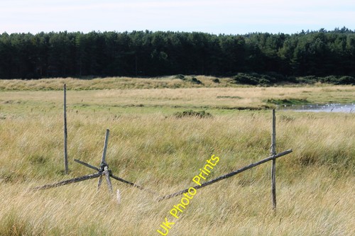 Photo 6x4 net poles - 6x4,