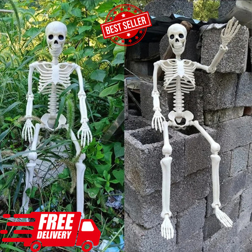 Giant life size human skeleton - human,