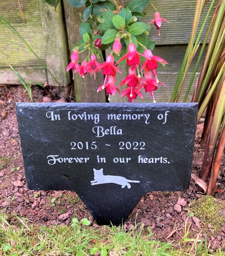 Personalised engraved pet - personalised,