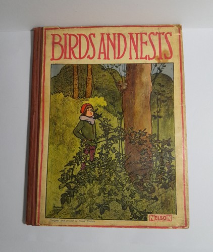 Antique 1913 birds nests - 1913, &