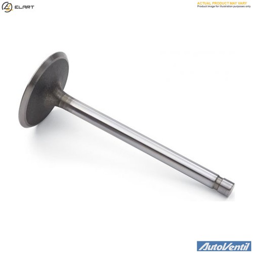 Intake valve v1367 - intake, for
