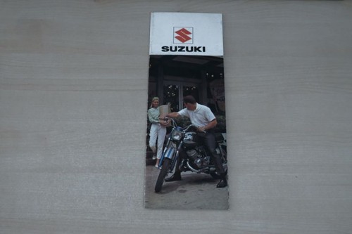 193913 suzuki 100 p m - 100,