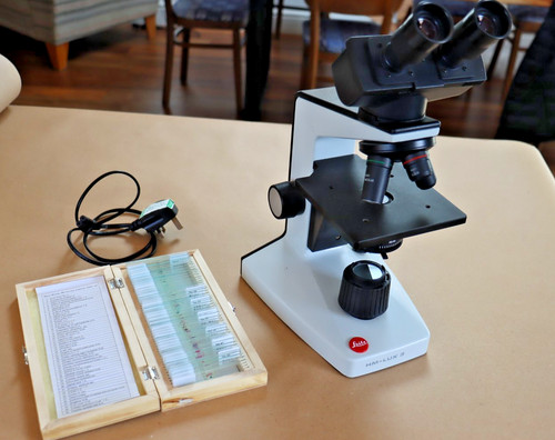Leitz lux microscope - hm-lux, 3