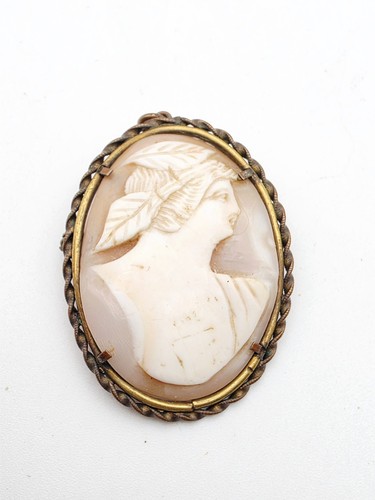 Antique victorian c1890 shell - antique,