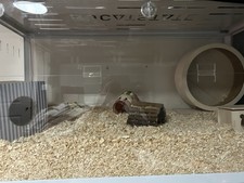 Bucatstate full hamster cage