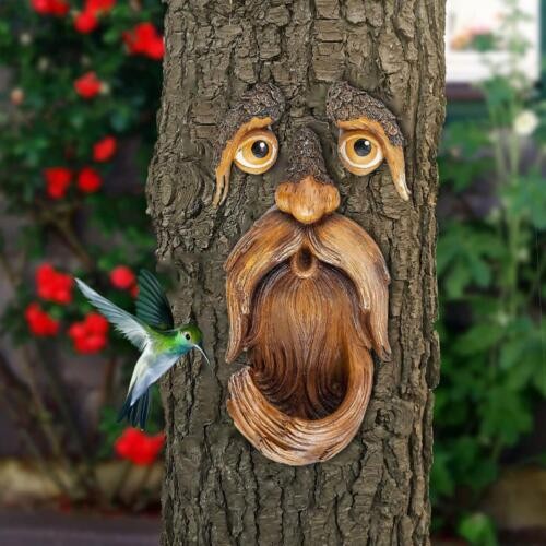 Bird feeder tree face - face, yard