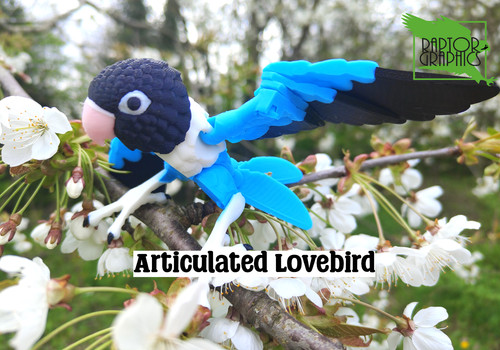 Articulated lovebird model - articulated,