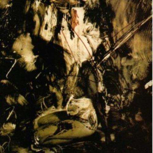 Fields the nephilim - the,