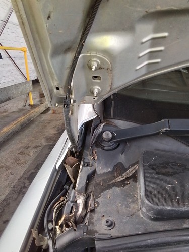 Bonnet hinge ford - bonnet, focus