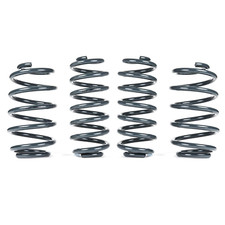 VWR Racingline Sports Springs