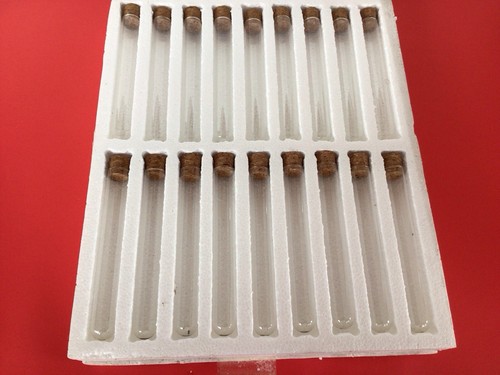 18pcs glass test tube - 18pcs,