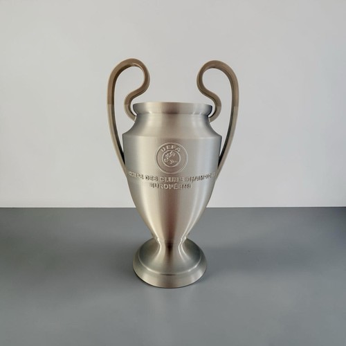 Uefa champions league trophy - champions,