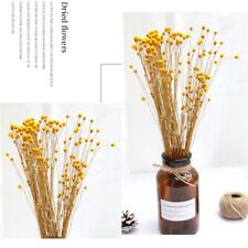 50x Real Happy Flower Small Natural Dried Flowers Bouquet Dry Flower CX