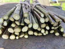 Willow cuttings FRESH 100