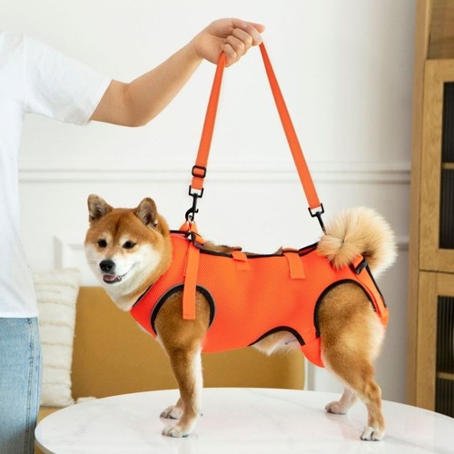 Mobility aid dog - aid, harness