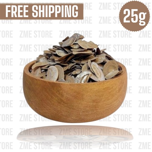 Onycha operculum snail shells - onycha,