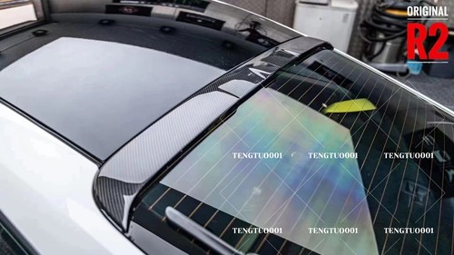 Carbon fiber dunk - carbon, rear
