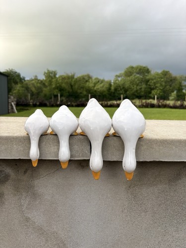 Decorative ornament ducks - /,