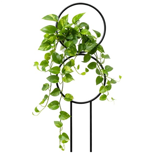 Trellis for potted - for,