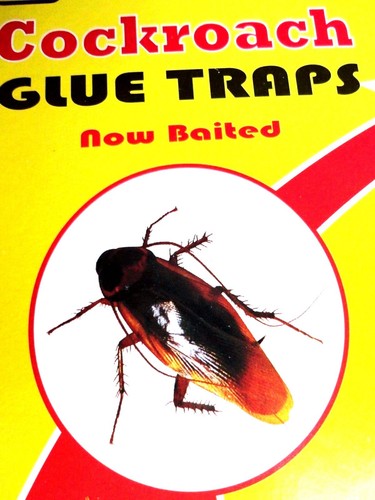 6xsticky cockroach killer trap - 6xsticky,