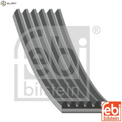 Vribbed belt 37542 for - belt,