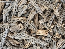 6+ LBS CHOLLA Wood CUTOFFS | Whole Pieces Split Halves Bits | Aquarium, Crafts